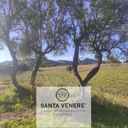 Santa Venere Vigneti e Cantina