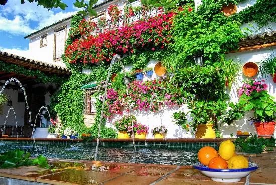Museo del Anis