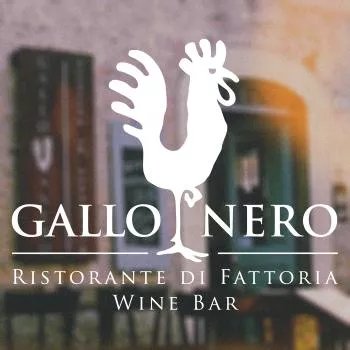 Gallo Nero Ristorante Di Fattoria