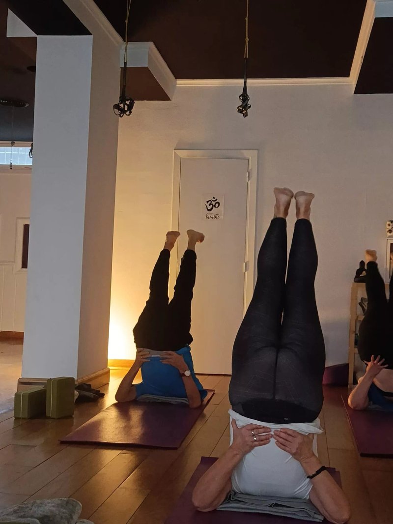 Centro de Yoga Padma Shala