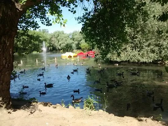 Locke Park