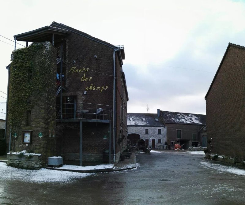 Ferme Hubert - Fleurs des Champs