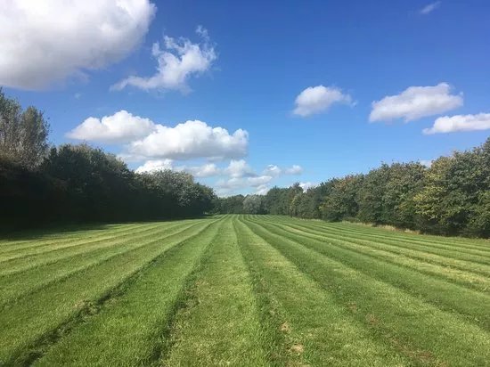 Manor Farm Woodland Walks