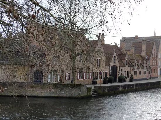 Groenerei