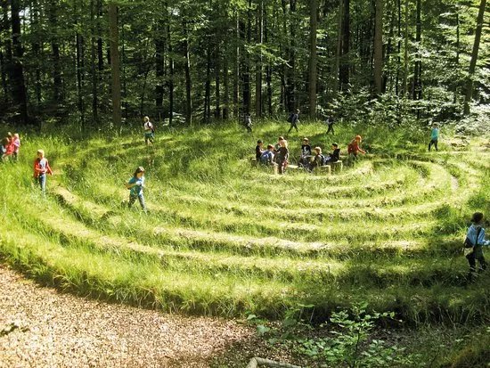 Walderlebnis- und Waldsportpfad Rollberg