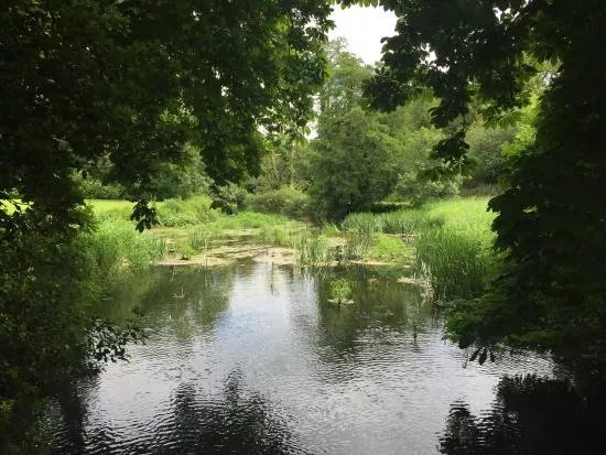 Doneraile Wildlife Park
