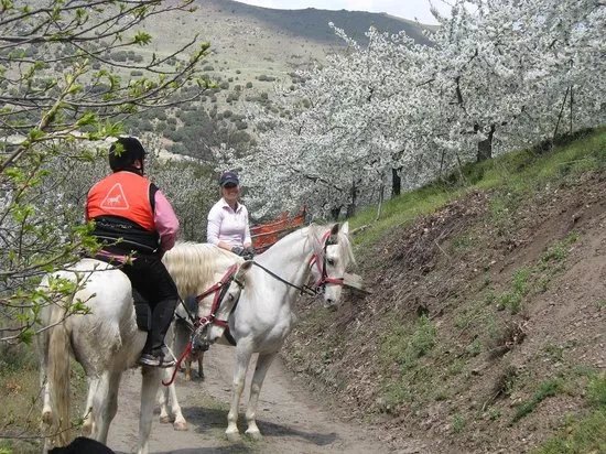 Las Encinillas Rutas a Caballo