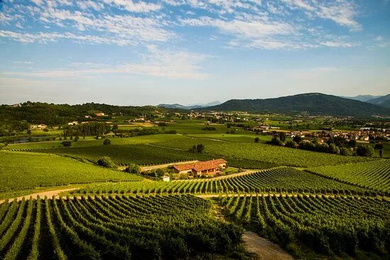 Ronco Calino Franciacorta