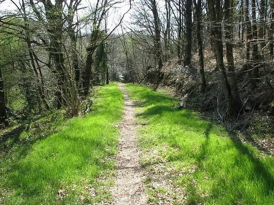 Lizio Walking Trails