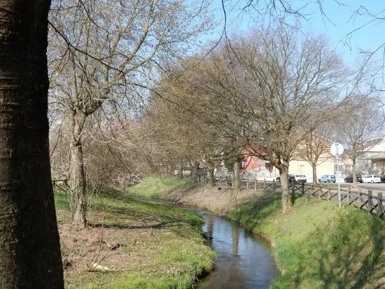 Ciclabile Rio Freidano