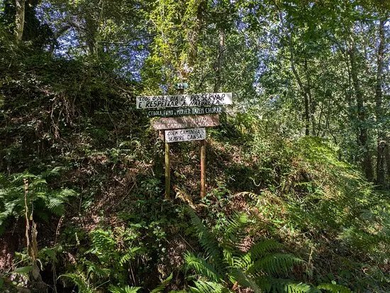 Bosque dos Avos