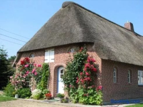 Muehlenwarft Friesenhof
