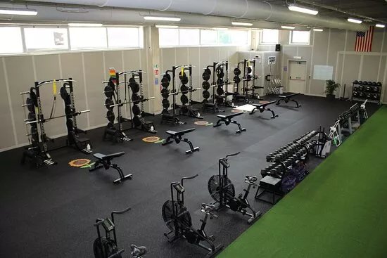 Sunflower Performance Training