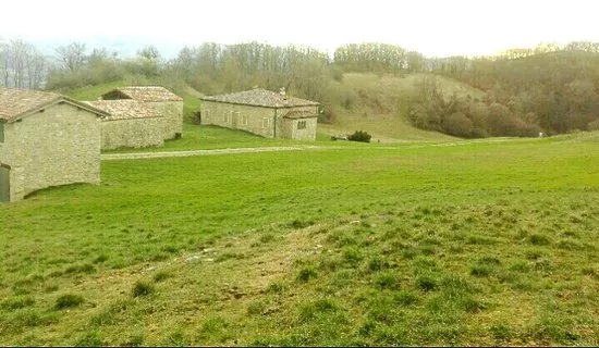 Pieve di San Vitale