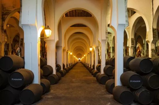 Bodegas Fundador