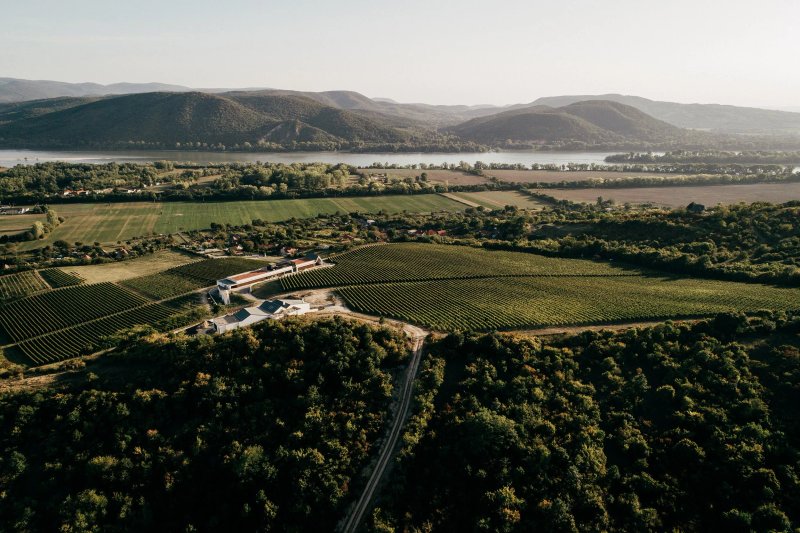 Vilagi Winery
