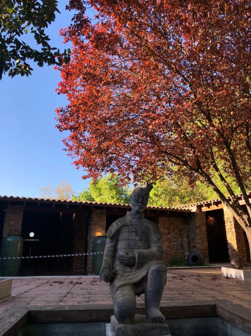 Finca La Vega
