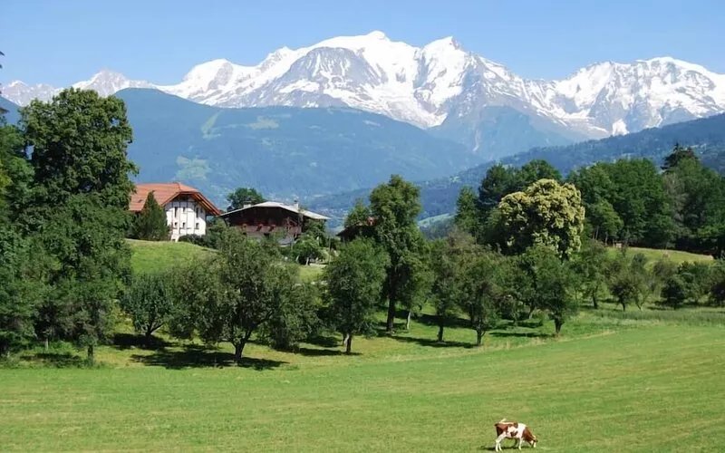 Charming studio cabin in the heart of the village