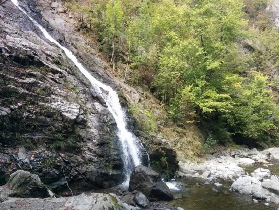 Cozia National Park