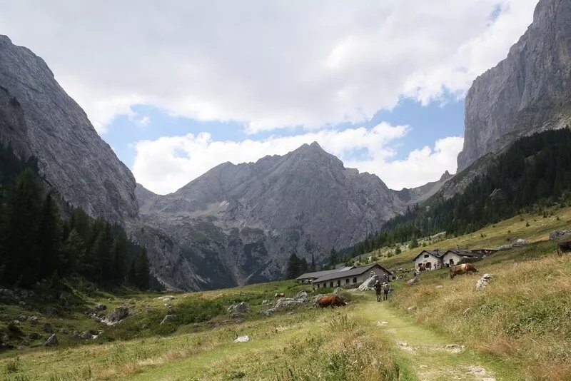 Malga Ciapela Marmolada skiing in the winter and mushrooming in the summer
