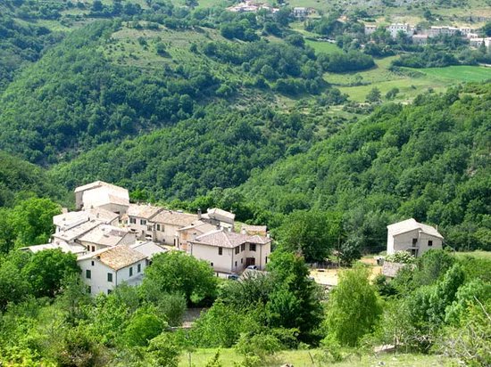 The Chiacchiarini Farm