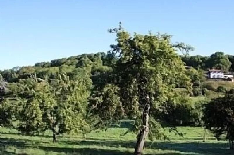 Cosy and Comfortable Cottage with the Best Views of the Wye Valley