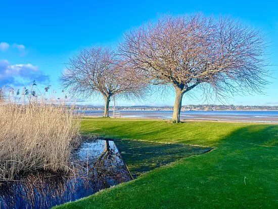 Tayport Common