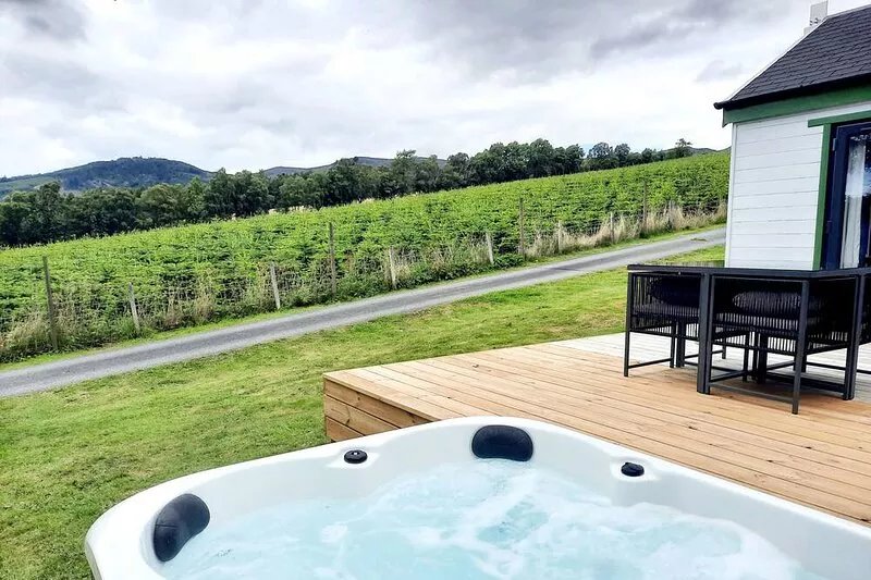 Premium Woodland Lodge with Hot Tub and Woodburner