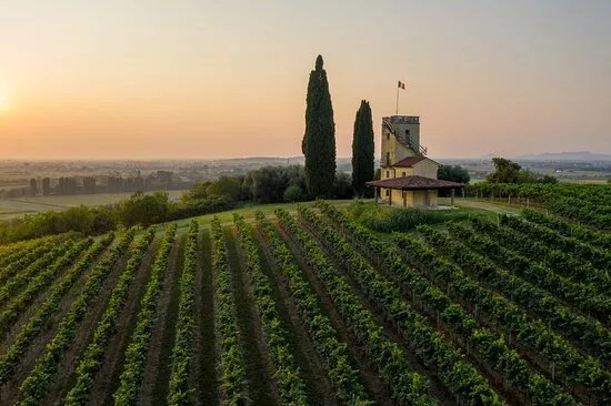 Cantine Muraro '952