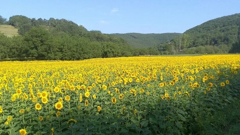 Close to Dordogne river, with valley views, midway between Beynac and Rocamadour