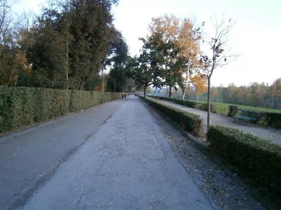 Le Cascine