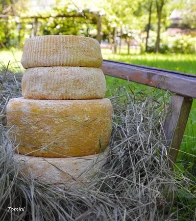 Latteria Pieve Vergonte