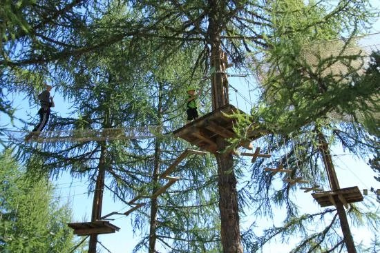 Foret Aventures