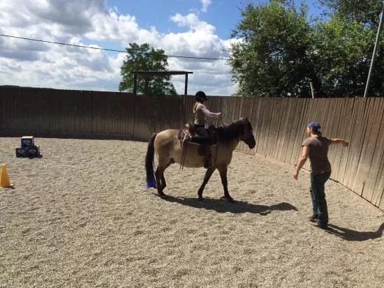 Naturliches Reiten & Kommunikation mit Korpersprache