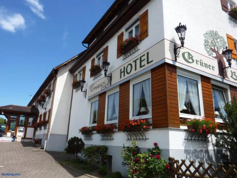 Hotel Landgasthof Gruner Baum