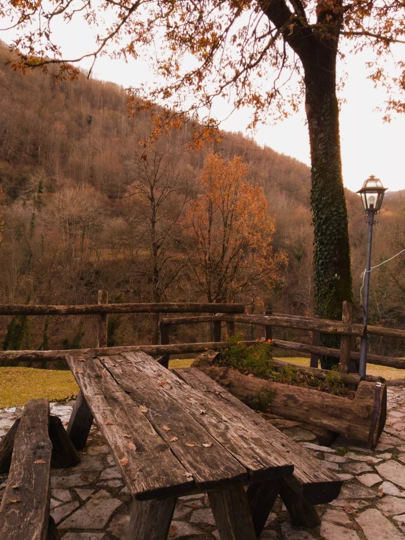 Ristorante dell'Agriturismo La Ferrera