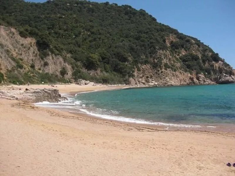 APARTMENT CANYET LOCATED A 140 METERS OF THE CALA CANYET