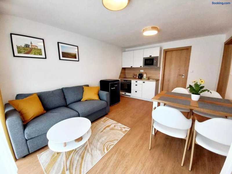 Apartmany Olsovska