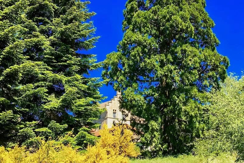 ❤️ Château 100%privé = ideal multigeneration ☀️Belles RETROUVAILLES