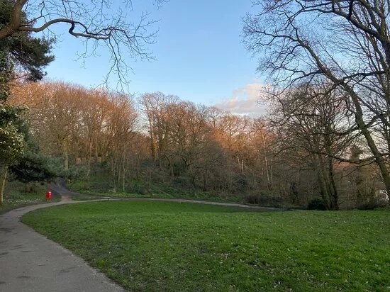 Martens Grove Park