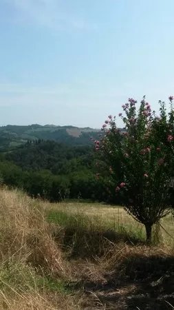 Prati di Mugnano