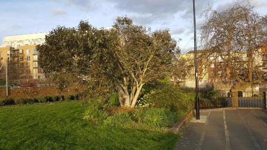 Town Quay Park