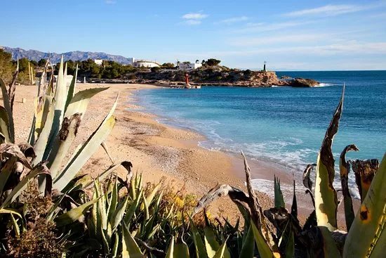Platja de l'Estany