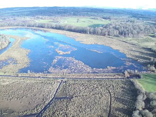RSPB Scotland Loch Lomond
