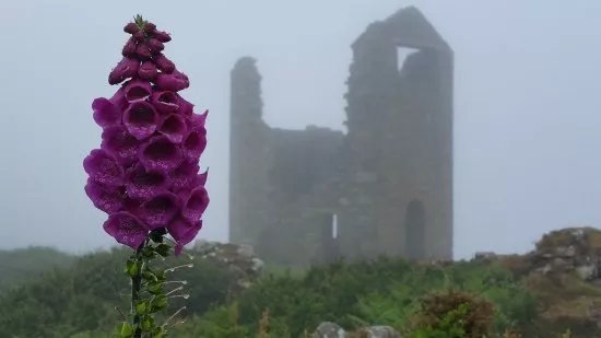 Walkitcornwall