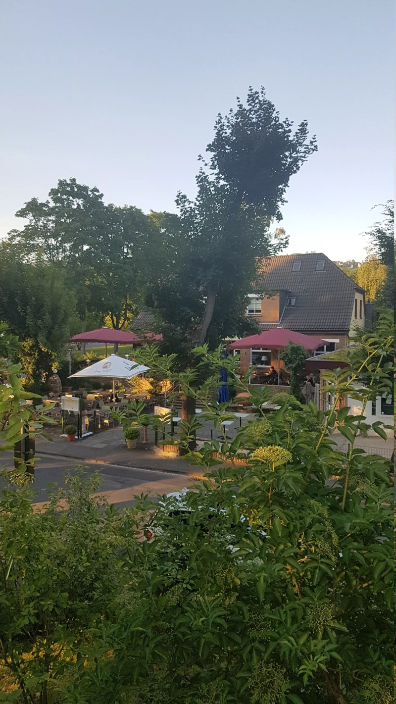 Restaurant Rheingold