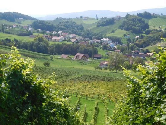 Weingut Gross