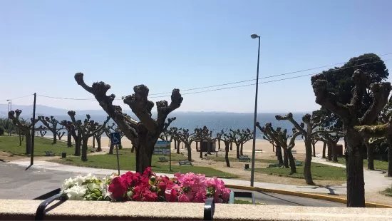 Playa Tanxil