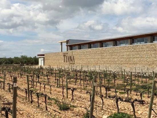 Celler Tianna Negre