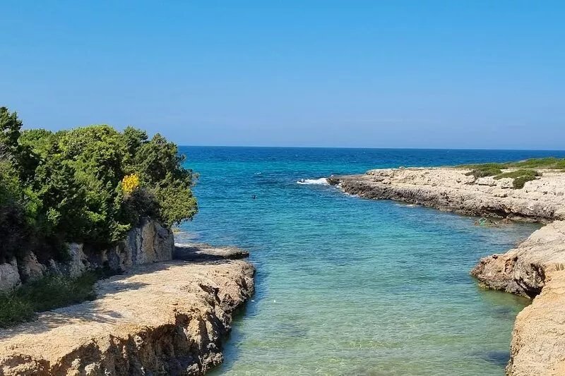 Villa with private pool and sea views in the olive grove